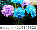 A gorgeous and beautiful bouquet of carnations that stands out against a black background 114145822
