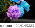 A gorgeous and beautiful bouquet of carnations that stands out against a black background 114145823