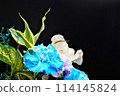 A gorgeous and beautiful bouquet of carnations that stands out against a black background 114145824