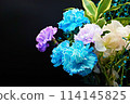 A gorgeous and beautiful bouquet of carnations that stands out against a black background 114145825