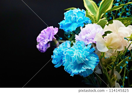 A gorgeous and beautiful bouquet of carnations that stands out against a black background 114145825