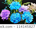 A gorgeous and beautiful bouquet of carnations that stands out against a black background 114145827