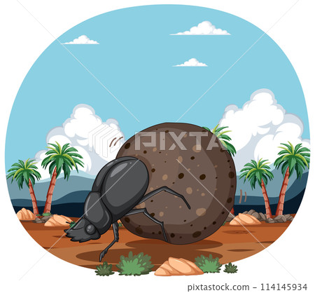 Dung Beetle at Work in Desert Oasis 114145934