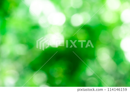 Background material: Fresh greenery - Bokeh balls and circles Background material: Fresh greenery - Bokeh balls and circles 114146159