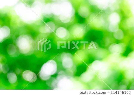 背景素材/鮮綠、玉石背景虛化、圓形背景虛化表達 114146163