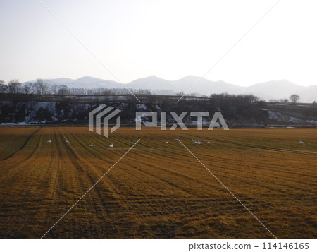 平原的性質 114146165