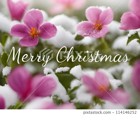 Beautiful Christmas card Beautiful Christmas card 114146252