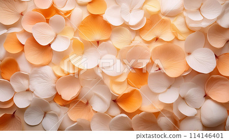 Orange petals scattered all over the place 114146401