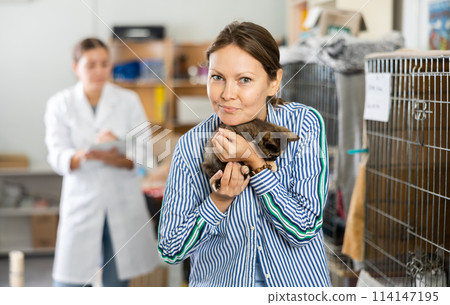 Caring woman holding adopted kitten in animal shelter Caring woman holding adopted kitten in animal shelter 114147195
