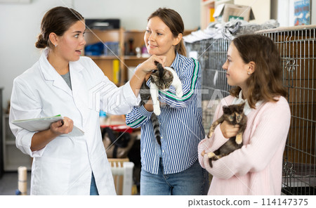 Woman with daughter adopting cat from shelter talking to female volunteer Woman with daughter adopting cat from shelter talking to female volunteer 114147375