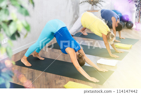 Grandmother, mom and teen son do downward facing dog, Adho Mukha Svanasana in gym. Grandmother, mom and teen son do downward facing dog, Adho Mukha Svanasana in gym. 114147442