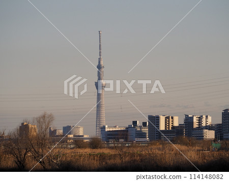 Evening view of the Skytree from the Arakawa River bank in Kawaguchi City 114148082