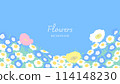 Background of a flower field - poppies, daisies, nemophila 114148230