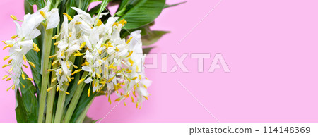 White yellow globba flower bouquet on pink background. 114148369