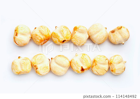 Toddy palm on white background. Toddy palm on white background. 114148492