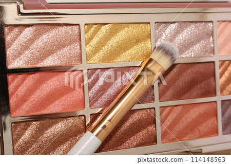 Warm Toned Shimmer Eyeshadow Palette Close up 114148563