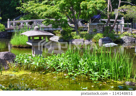 西新井大師 寺院美景(東京都足立區) 西新井大師 寺院美景(東京都足立區) 114148651