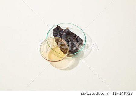 Top view at a glass petri dish contains some locust fruit with petri dish filled by yellow liquid placed above, white texture. Space for displaying or presentation Top view at a glass petri dish contains some locust fruit with petri dish filled by yellow liquid placed above, white texture. Space for displaying or presentation 114148728