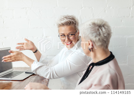 worker show presentation for her female boss or client worker show presentation for her female boss or client 114149185