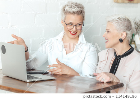worker show presentation for her female boss or client 114149186