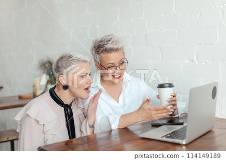 worker show presentation for her female boss or client worker show presentation for her female boss or client 114149189