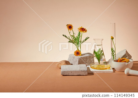 Minimal background for cosmetics of calendula extract presentation. Fresh flowers, gray blocks of brick and lab glassware decorated on brown backlit background. Front view and copy space Minimal background for cosmetics of calendula extract presentation. Fresh flowers, gray blocks of brick and lab glassware decorated on brown backlit background. Front view and copy space 114149345