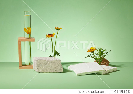 Mockup scene for advertising cosmetics of calendula extract. Front view of calendula flowers with bricks, stone and test tube decorated on a green background 114149348