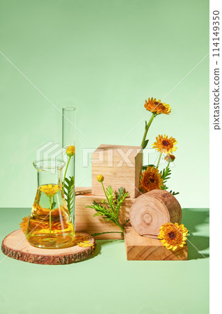 Against a green background, block of wooden decorated with fresh calendula flowers and lab glassware. Advertising photo with space for display product Against a green background, block of wooden decorated with fresh calendula flowers and lab glassware. Advertising photo with space for display product 114149350