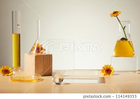 Organic cosmetic concept. Front view of glassware containing fresh calendula flowers and yellow liquid on gray background. Blank space of glass podium for display product Organic cosmetic concept. Front view of glassware containing fresh calendula flowers and yellow liquid on gray background. Blank space of glass podium for display product 114149353