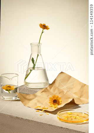On gray concrete podium, glass flask decorated with fresh calendula flower on vintage paper piece. Photo for advertising natural cosmetic with calendula extract On gray concrete podium, glass flask decorated with fresh calendula flower on vintage paper piece. Photo for advertising natural cosmetic with calendula extract 114149359