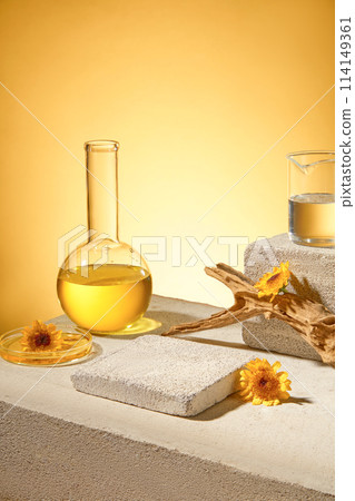 On gray concrete podiums, lab flasks containing transparent liquid decorated fresh calendula flowers. Blank space for display product. Minimal scene for advertising On gray concrete podiums, lab flasks containing transparent liquid decorated fresh calendula flowers. Blank space for display product. Minimal scene for advertising 114149361