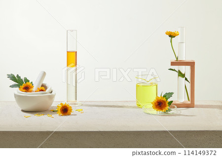 Minimal concept with fresh calendula flower decorated for advertising cosmetic product. Calendula petal contains skin-soothing compounds. Front view, space for design Minimal concept with fresh calendula flower decorated for advertising cosmetic product. Calendula petal contains skin-soothing compounds. Front view, space for design 114149372