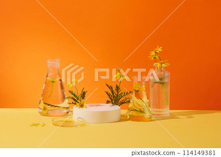 Front view of fresh calendula flowers with glassware decorated on orange background. Platform for display cosmetic of calendula extract Front view of fresh calendula flowers with glassware decorated on orange background. Platform for display cosmetic of calendula extract 114149381