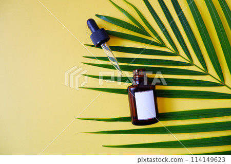 Botanical skin care bottle Botanical skin care bottle 114149623
