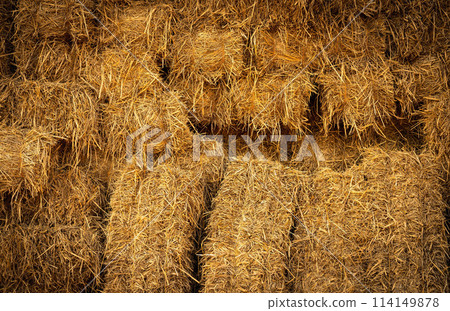 Dry straw bale and agricultural byproducts. stacked yellow straw bales for animal fodder and livestock bedding. Straw bales in sustainable farming. Agricultural byproducts. Agricultural practices. Dry straw bale and agricultural byproducts. stacked yellow straw bales for animal fodder and livestock bedding. Straw bales in sustainable farming. Agricultural byproducts. Agricultural practices. 114149878