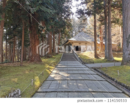 Hiraizumi Chonju Temple 114150533
