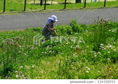 Children playing in the grass in the park 114150553