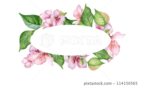 Watercolor wreath with pink white flowers isolated on white. Design template of floral frame with pink blooming branch hand drawn. Element for wedding invitation, card, packaging, label product 114150565
