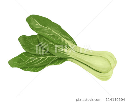 Chingengsai 114150604