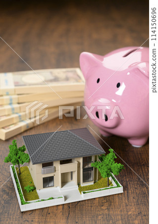 Miniature house and piggy bank Miniature house and piggy bank 114150696
