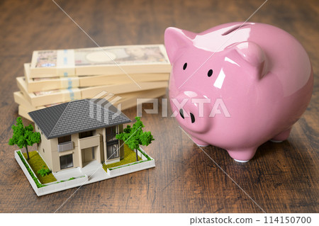 Miniature house and piggy bank Miniature house and piggy bank 114150700