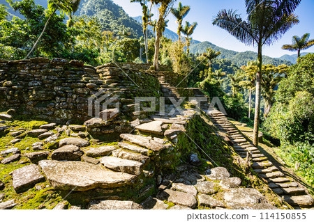 Ciudad Perdida, ancient ruins in Sierra Nevada mountains. Santa Marta, Colombia wilderness 114150855