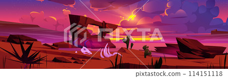 Sunset sky in desert western landscape with cactus 114151118