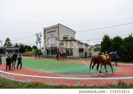 多雲天空下的當地賽馬場| 石川縣金澤市 114151611