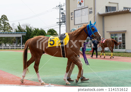 多雲天空下的當地賽馬場| 石川縣金澤市 多雲天空下的當地賽馬場| 石川縣金澤市 114151612
