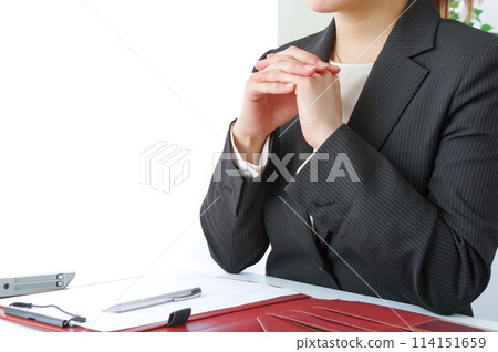 一名年輕女子正在開工作會議 一名年輕女子正在開工作會議 114151659