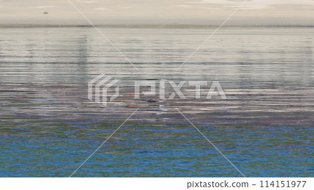 Gradation of the sand and sea surface Gradation of the sand and sea surface 114151977