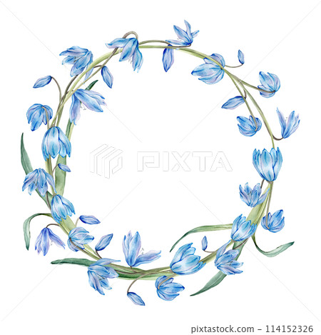 Watercolor spring floral illustration. Flower wreath with blue snowdrops or scillas isolated on white background. Handmade flowers for wedding anniversary invitations ahd postcards. Pastel colours. Watercolor spring floral illustration. Flower wreath with blue snowdrops or scillas isolated on white background. Handmade flowers for wedding anniversary invitations ahd postcards. Pastel colours. 114152326
