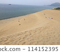 走在鳥取沙丘的人們 114152395