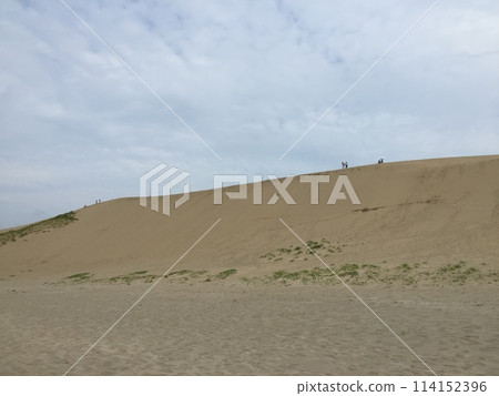 鳥取沙丘 鳥取沙丘 114152396